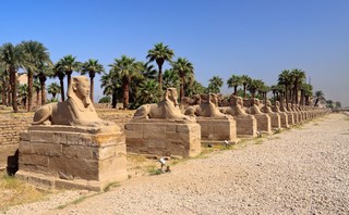 Κάιρο – Αλεξάνδρεια, Στα μυστικά των Φαραώ, 5 ημέρες – 4 νύχτες ‘All Inclusive Excursions’, τελική τιμή: 1.190€