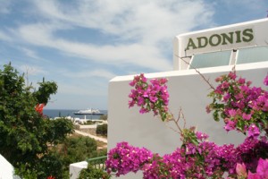 adonis hotel
